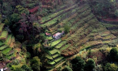 Zdjęcie PORTUGALIA / Madera / zachód yspy / Przełęcz Encumenada