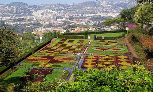 Zdjęcie PORTUGALIA / Madera / Funchal / Ogród botaniczny w Funchal