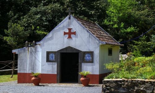 Zdjcie PORTUGALIA / Madera / Ribeiro Frio /  Wersja mini...
