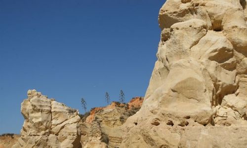 Zdjęcie PORTUGALIA / algarve / praia de rocha / agawy na skale