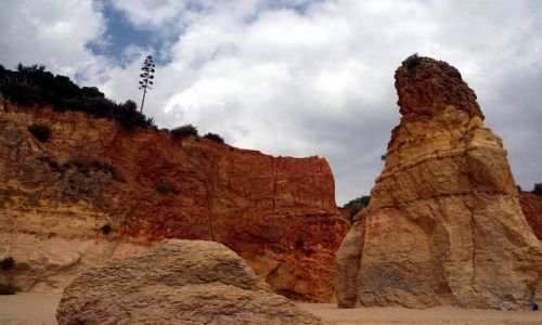 Zdjęcie PORTUGALIA / algarve / praia de rocha / skała na plazy