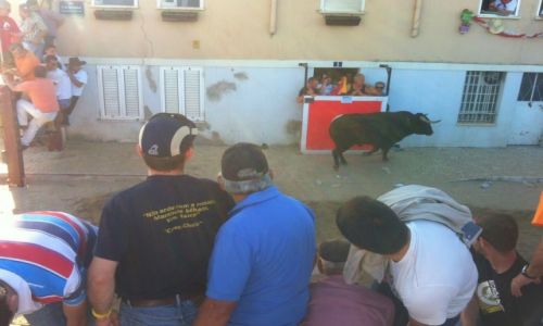 Zdjecie PORTUGALIA / Portugalia / Vila Franca de Xira / Espera de Toiros – gonitwa z bykami po ulicach
