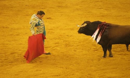Zdjecie PORTUGALIA / Lisboa / Lisboa / Corrida Portugesa