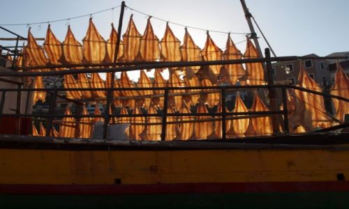 Zdjęcie PORTUGALIA / Madera / Camara de Labos / dorsze jak żagle