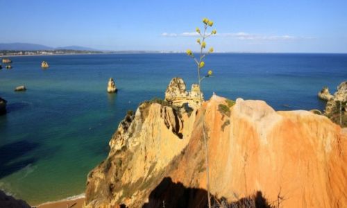 Zdjecie PORTUGALIA / Algarve / Lagos / Klify Lagos