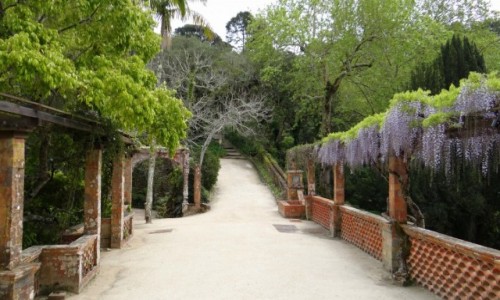 Zdjecie PORTUGALIA / Lisboa / Sintra / Ogrody Monserrate