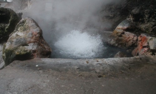 Zdjecie PORTUGALIA / Sao Miguel / Furnas / Azory