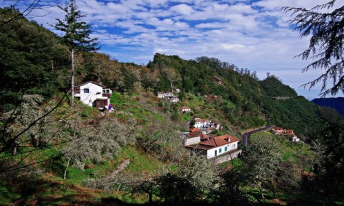 Zdjcie PORTUGALIA / Madera / Ribeiro Frio / W drodze do Balcoes (II)