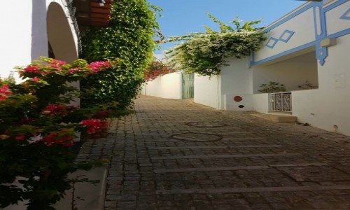 Zdjcie PORTUGALIA / Algarve / Albufeira / spacer...