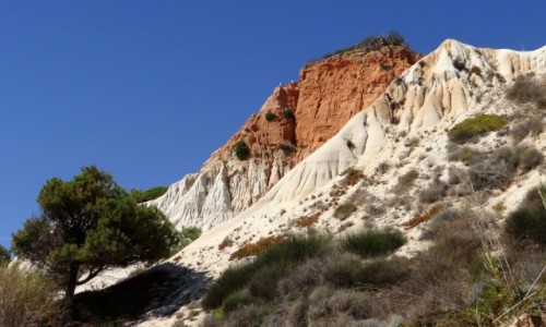 Zdjcie PORTUGALIA / Algarve / Olhos de gua / Praia da Falsia - Klify III