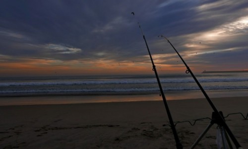 Zdjcie PORTUGALIA / Matosinhos / Matosinhos / Pow