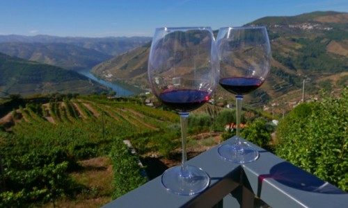 Zdjcie PORTUGALIA / dolina Douro / Winiarnia D'Origem Winho / Degustacja
