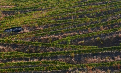 Zdjcie PORTUGALIA / dolina Douro / winiarnia / wino