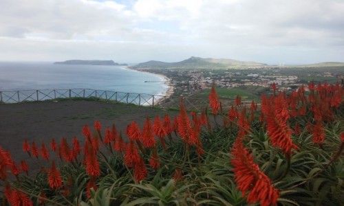 Zdjcie PORTUGALIA / porto santo / portro santo /  kolorowe Porto santo 