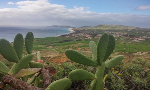 Zdjcie PORTUGALIA / porto santo / portro santo / klimatyczna wyspa Kolumba