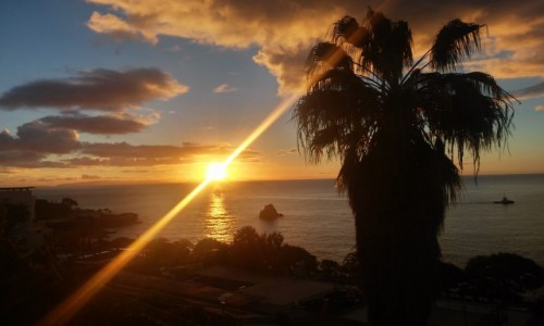 Zdjecie PORTUGALIA / madera / funchal / wschd Soca w funchal