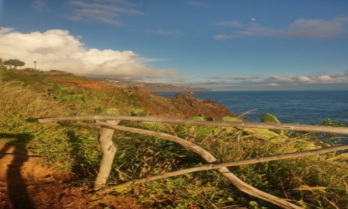 Zdjęcie PORTUGALIA / madera /  okolice funchal / klimatyczne miejsce nad oceanem