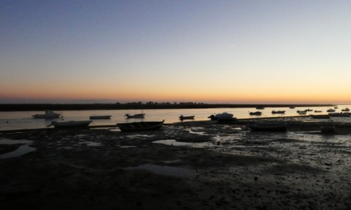 Zdjcie PORTUGALIA / Algarve / Tavira/ Santa Luzia / zachd soca nad Rio Formosa