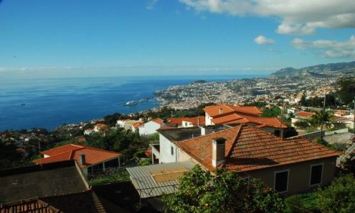 Zdjęcie PORTUGALIA / Madera / Funczal  / Funczal - okolice ogrodu botanicznego