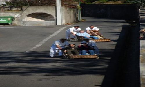 Zdjęcie PORTUGALIA / Madera / Monte / Monte zjazd saneczkarzy