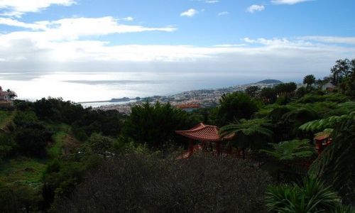 Zdjęcie PORTUGALIA / Madera / Monte / Panorama z Monte Botanic Garden