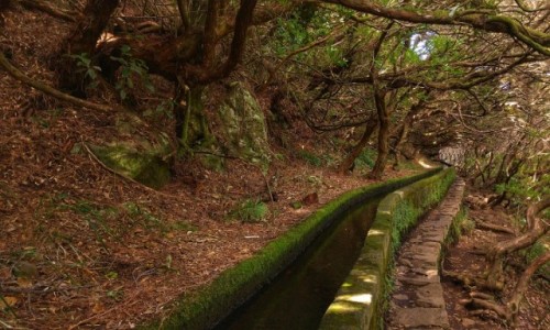 Zdjęcie PORTUGALIA / Madera / . / Levada das 25 Fontes (25 źródeł)