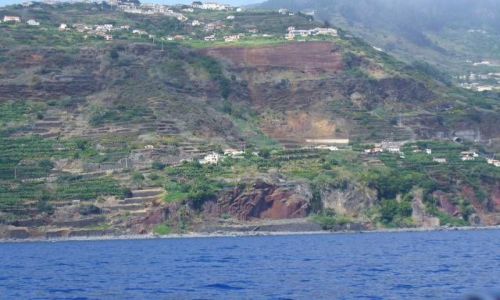Zdjęcie PORTUGALIA / Madera / okolice Funchal / Południowy brzeg Madery