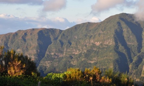 Zdjcie PORTUGALIA / Madera / Boca de Encumeda / Na przeczy