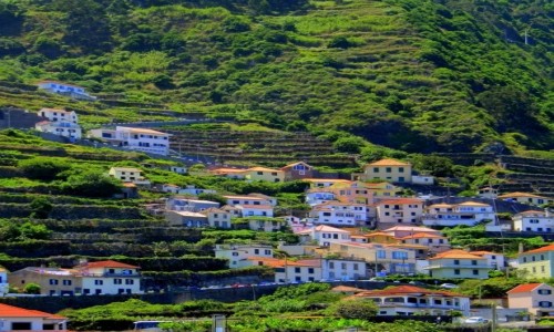 Zdjcie PORTUGALIA / Madera / Porto Moniz / Im wyej tym 