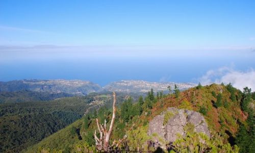Zdjęcie PORTUGALIA / Madera / Pico Ruivo / W kierunku Santany