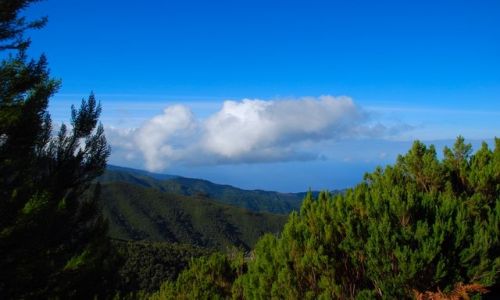 Zdjecie PORTUGALIA / Madera / Pico Ruivo / Zejscie z Pico Ruivo