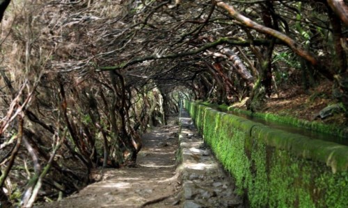 Zdjcie PORTUGALIA / Madera / Levada das 25 Fontes / Tunel