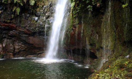 Zdjęcie PORTUGALIA / Madera / 25 Fontes / U źródeł