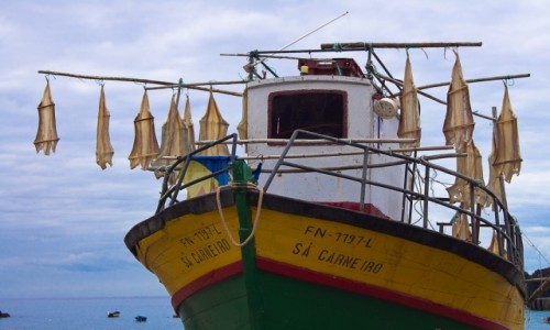 Zdjecie PORTUGALIA / Madera / port w Camara de Lobos / Suszenie dorszy