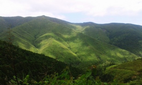 Zdjcie PORTUGALIA / Azory / Sao Miguel / Zielone Sao Miguel