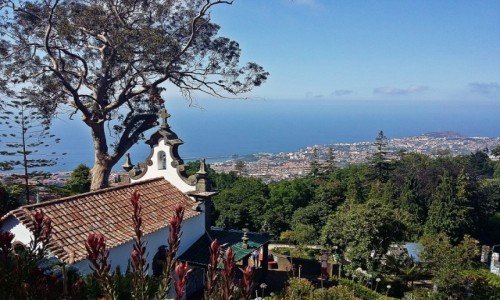 Zdjecie PORTUGALIA / Funchal / Botanical Garden / Funchal z Botanical Garden