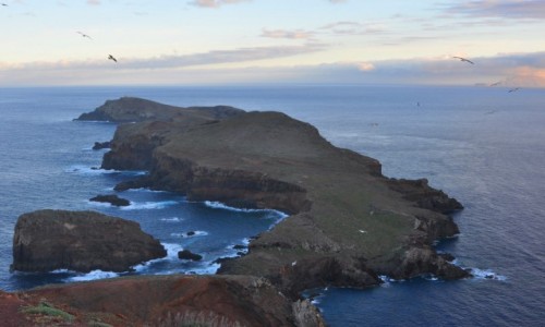 Zdjecie PORTUGALIA / Madera / wschodnie wybrzee, Ponta de Sao Lorenco / Przedwieczorny widok