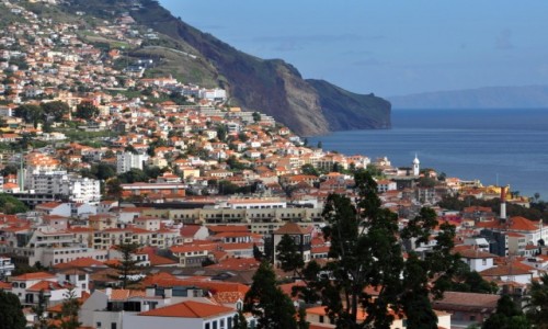 Zdjcie PORTUGALIA / Madera / Funchal / Widok na stolic Madery