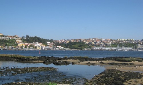 Zdjcie PORTUGALIA / Porto / Porto / Porto
