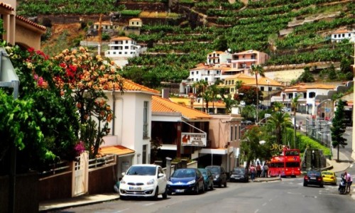 Zdjcie PORTUGALIA / Madera / Camara de Lobos / rybacka wioska