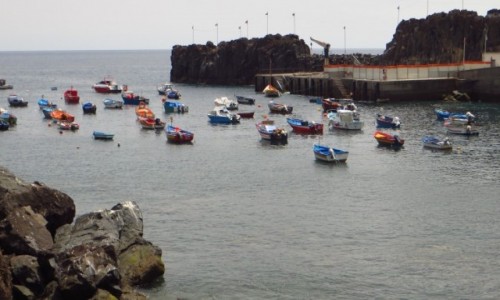 Zdjecie PORTUGALIA / Madera / Camara de Lobos / rybacka wioska