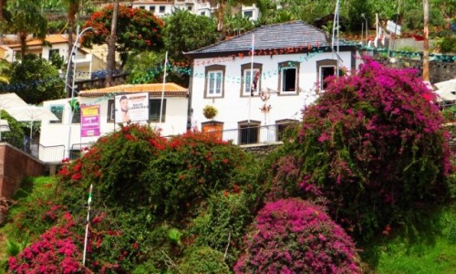 Zdjcie PORTUGALIA / Madera / Camara de Lobos / rybacka wioska