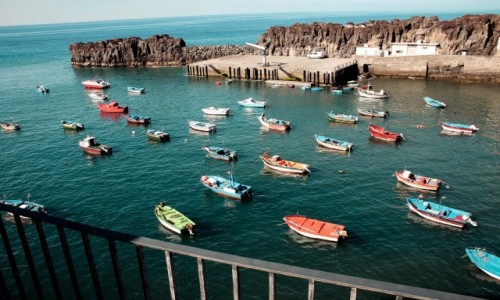 Zdjęcie PORTUGALIA / Madera / Madera / Madera Camara de Lobos
