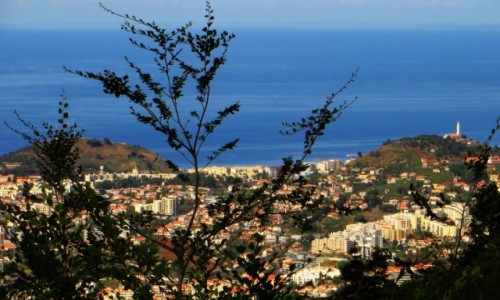 Zdjęcie PORTUGALIA / Madera / Funchal / panorama Funchal ze wzgórza Monte