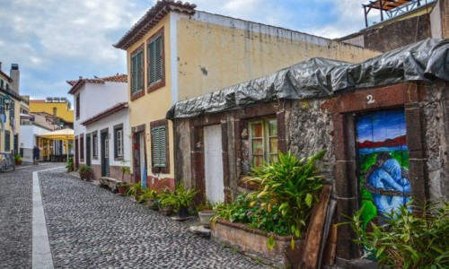 Zdjcie PORTUGALIA / Madera / Funchal / Funchal