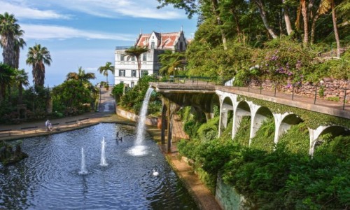 Zdjcie PORTUGALIA / Madera / Funchal / Monte Palace Tropical Garden