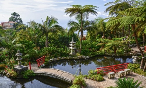 Zdjcie PORTUGALIA / Madera / Funchal / Monte Palace Tropical Garden