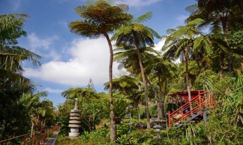 Zdjecie PORTUGALIA / Madera / Funchal / Monte Palace Tropical Garden
