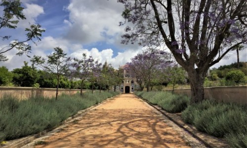 Zdjecie PORTUGALIA / Algarve / Estoi / alejk...