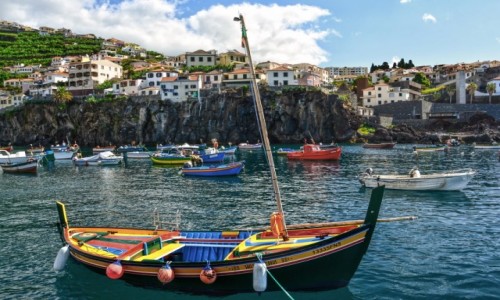 Zdjecie PORTUGALIA / Madera / - / Camara de Lobos